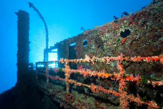 Overgrown shipwreck of the Numidia, sunken 20.07.1901, Red Sea, Big Brother Island, Brother Islands, El Alkhawein, Egypt, Africa