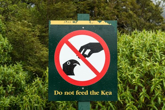 Feeding prohibition sign with inscription Do not feed the Kea, Fiordland National Park, Southland, New Zealand, Oceania