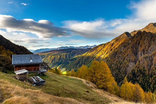 Mountain hut over valley with autumnal mountain larch forest (Larix decidua), Vals, Valstal, South Tyrol, Italy, Europe