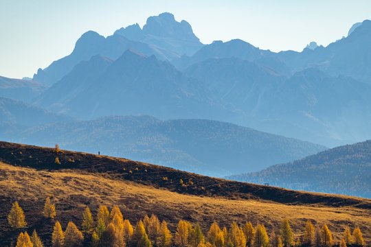 Hikers on autumnal ridge with Peitlerkofl in the background, Vals, Valstal, South Tyrol, Italy, Europe