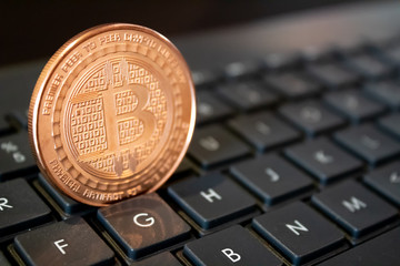 Bitcoin & Cryptocurrency