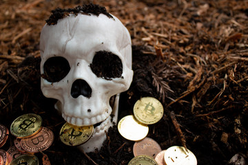 Bitcoin is dead - bones & skull