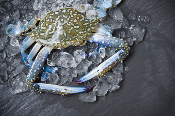 Seafood crab on ice © Bigc Studio