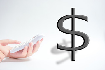 Calculate the dollar.  ドルを計算する