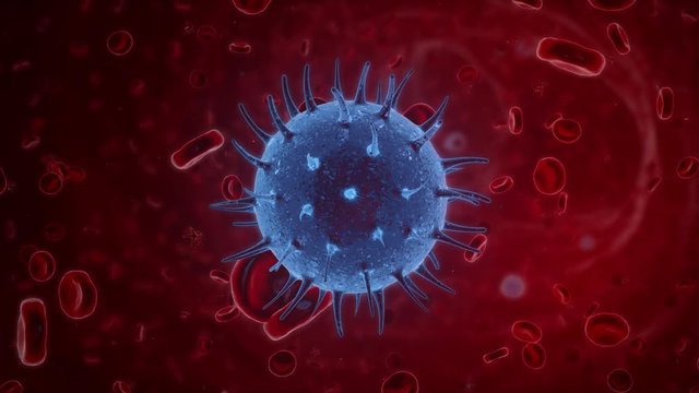 A Virus in a blood stream with erythrocytes, leukocytes and blood platelets.