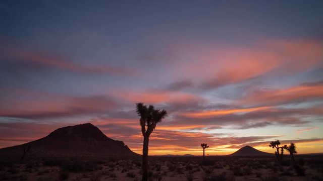 Pink and Purple Sunrise Time Lapse over Joshua Trees and Mojave Desert Mountains