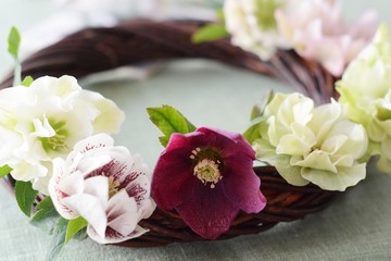 クリスマスローズのリース