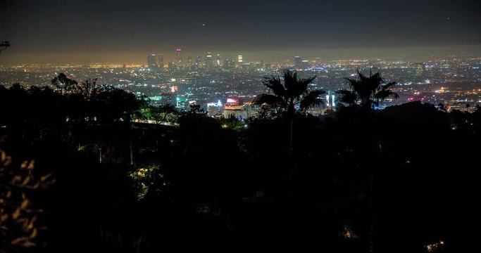 Los Angeles City Lights Palm Trees Night