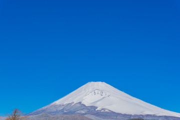 初春の富士山