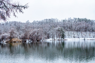 冬の竜神池
