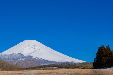 初春の富士山