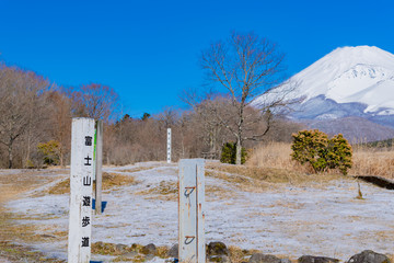 初春の富士山