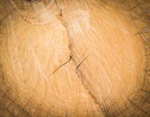 cut tree trunk old crack wood ancient Abstract texture background