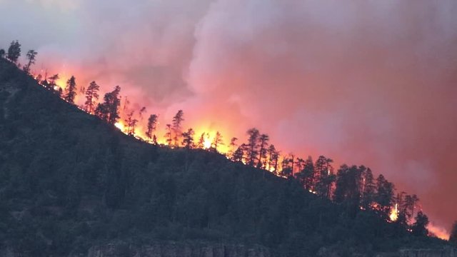 Ridge line on fire while individual tree flares up.