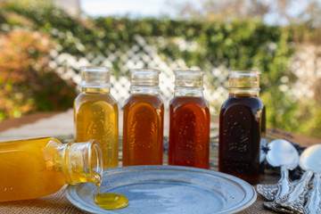 Honey in a bottles in a garden. Clover, sunflower, macadamia, eucalyptus, and mimosa honey.