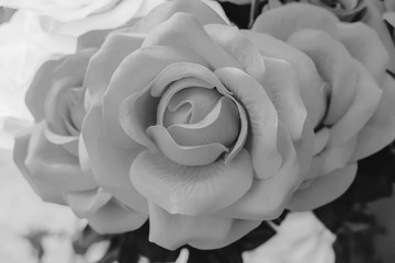 Close up black and white color of rose flowers made from fabric is petals soft sweet tones of sweet style. Blur background for decoration close-up concept
