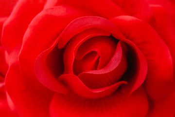 Close up rose flowers made from fabric is petals soft sweet tones of sweet style. Blur background for decoration close-up concept
