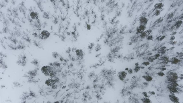 Flying over Arctic Norway