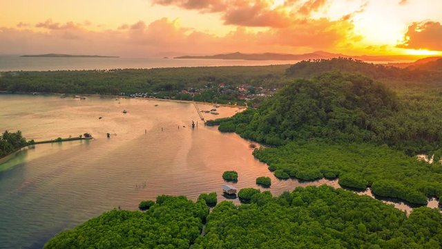 Green deep mangrove forest and sea bay sunset on the Siargao island, Philippines. Aerial Drone Timelapse 4K