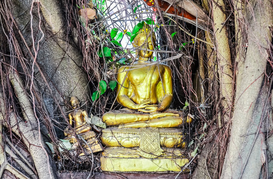 The golden ancient Buddha statues under the tree