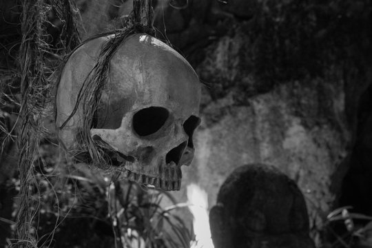 Human scull hanging on rope black and white. Death symbol. Fear and horror concept. Occult decoration for `Dia de los Muertos` and Halloween. Ritual sacrifice. Spooky scull isolated monochrome.