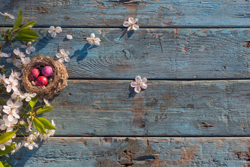 Easter eggs in nest with spring flowers on old wooden background