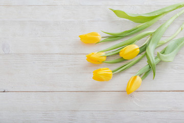 yellow tulips on white wooden background