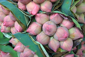 White and pink lotus  for buddha and  for sale in the market in thailand. © Chaleow