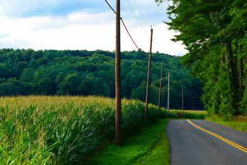 Obraz premium Colebrook, Connecticut USA A country road along the cornfields