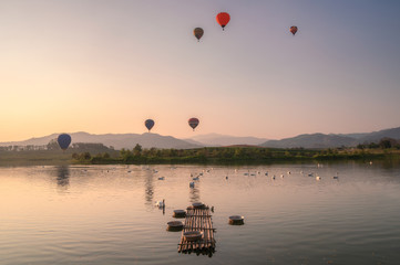 Herd of swans in pond with hot air balloons flying on hill