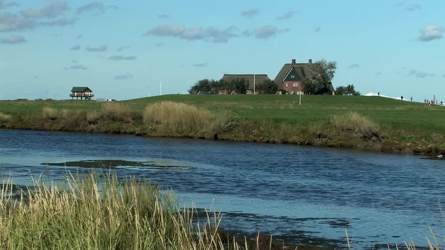 Marshland on Holm Hooge at the North Sea, Germany.