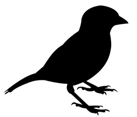 a sparrow body silhouette vector