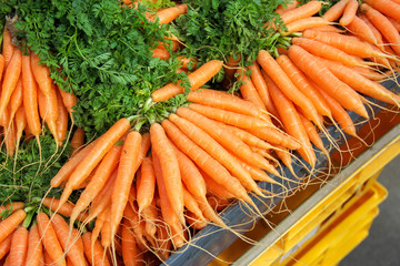 bunch of fresh carrots