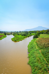 River landscape agricultural planting green corn field on riverside