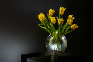 Bouquet of beautiful fresh yellow tulips in dew on dark background. Still life photo