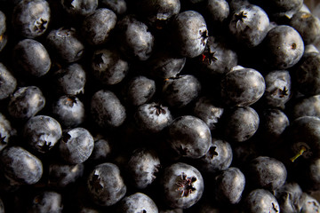 background blueberry black