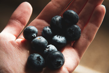blueberries on the palm 