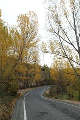 Autumn forest and village photos.savsat/artvin turkey 