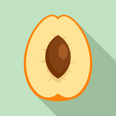 Cutted apricot icon. Flat illustration of cutted apricot vector icon for web design