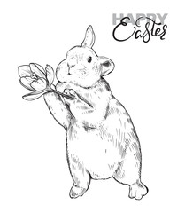 Vector illustration of hand drawn rabbit with spring flower.