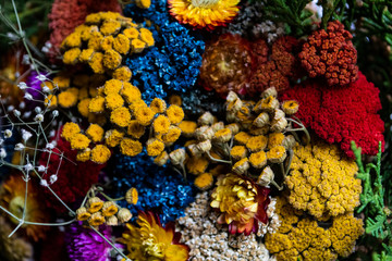 Colorful dried flowers ideal for wallpaper and backgrounds