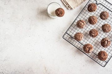 Chocolate Cookies and Milk