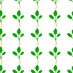 Microgreens. Sprouting seeds of a plant. Seamless pattern.