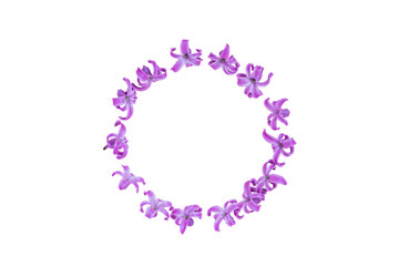 Round frame of pastel purple hyecinth flowers on gradient pink background. Floral wreath. Layout for holidays greeting of Mothers day, birthday, wedding or other happy event