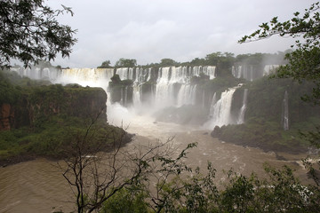 Fototapeta premium Iguazu Falls in the Argentine side