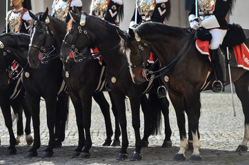 Italian national guard of honor during a welcome ceremony at the Quirinale Palace.