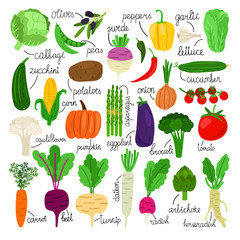 Cartoon vegetables collection. Vegetale vector objects isolated, carrot and radish, garlic and pepper, corn and zucchini fresh vegets