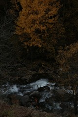 Autumn forest and village photos.savsat/artvin turkey 