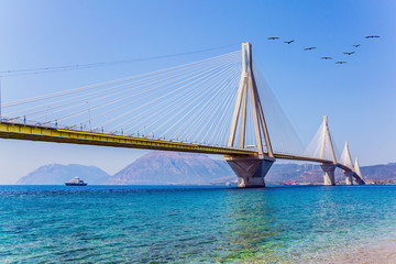 White cable-stayed bridge over the Gulf of Corinth
