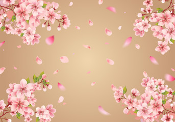 Fototapeta na wymiar Cherry blossom sakura on gold background